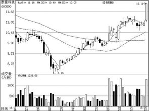 公司研究之机构关注个股 网络技术服务行业分析